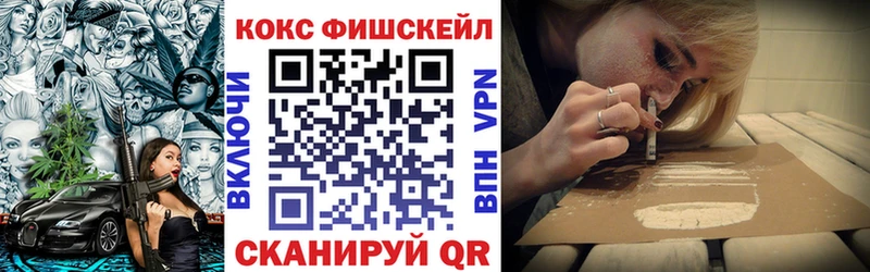 Купить закладки  Пучеж  Cocaine FishScale 