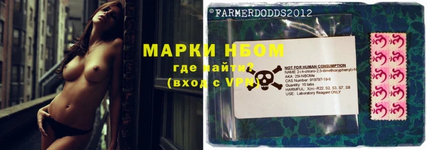 тгк Нестеровская