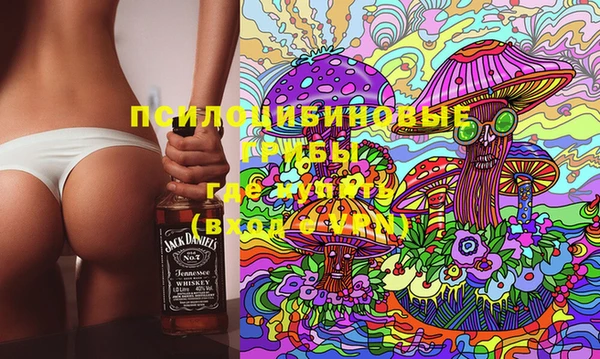 тгк Нестеровская