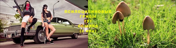 тгк Нестеровская