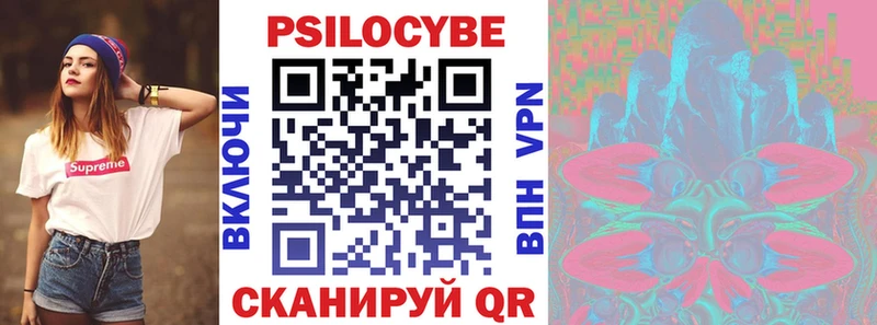 Купить закладки  Пучеж  Галлюциногенные грибы Psilocybe 